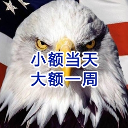 临泉要账公司